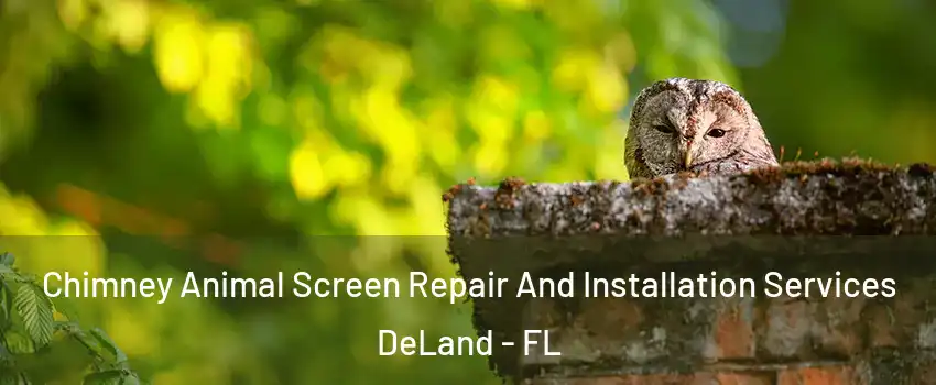  Chimney Animal Screen Repair And Installation Services DeLand - FL