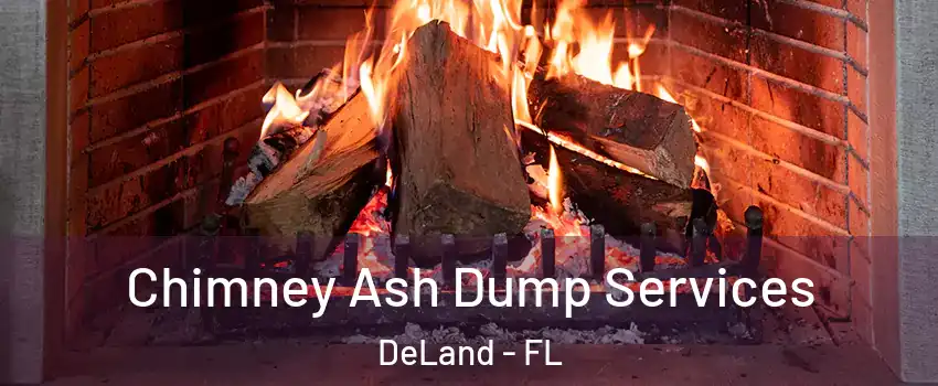  Chimney Ash Dump Services DeLand - FL
