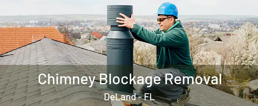 Chimney Blockage Removal DeLand - FL