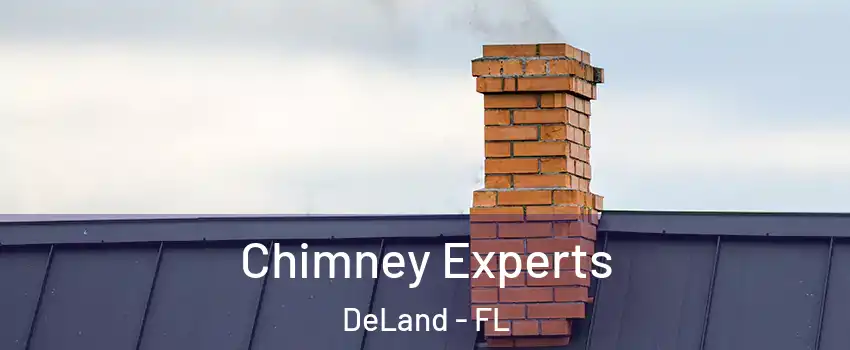  Chimney Experts DeLand - FL