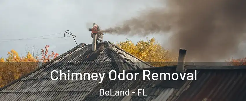  Chimney Odor Removal DeLand - FL