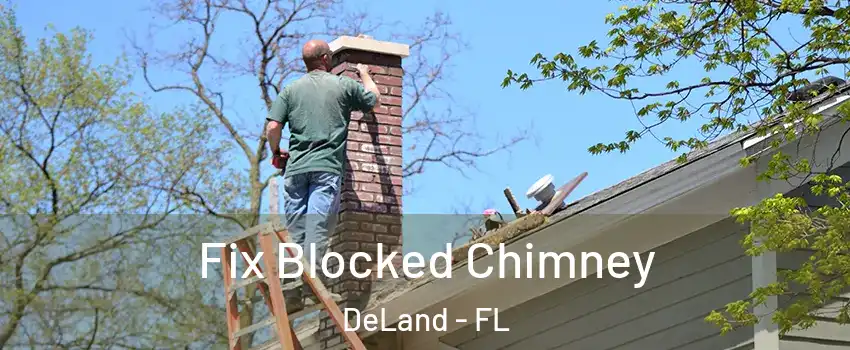  Fix Blocked Chimney DeLand - FL