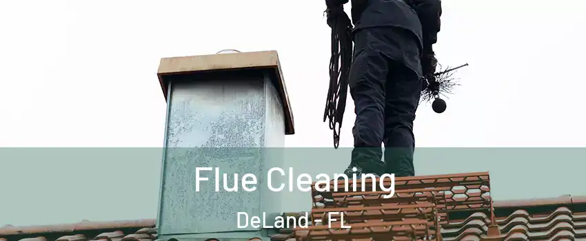  Flue Cleaning DeLand - FL