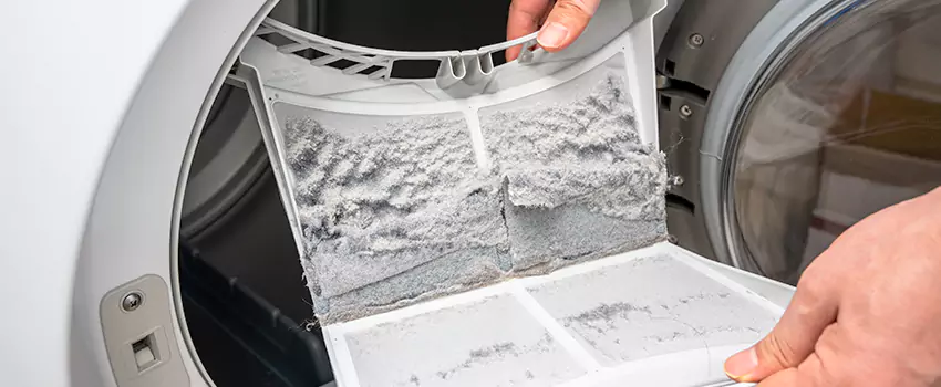 Best Dryer Lint Removal Company in DeLand, Florida