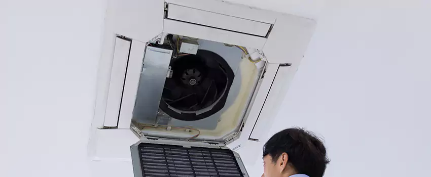Benefits of Professional Air Duct Cleaning in DeLand, Florida