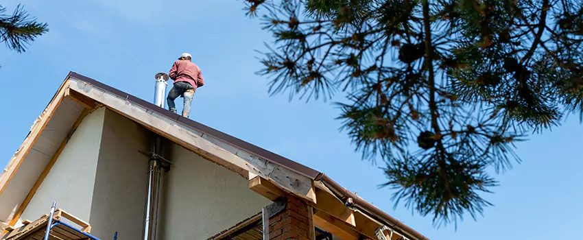 Birds Removal Contractors from Chimney in DeLand, FL