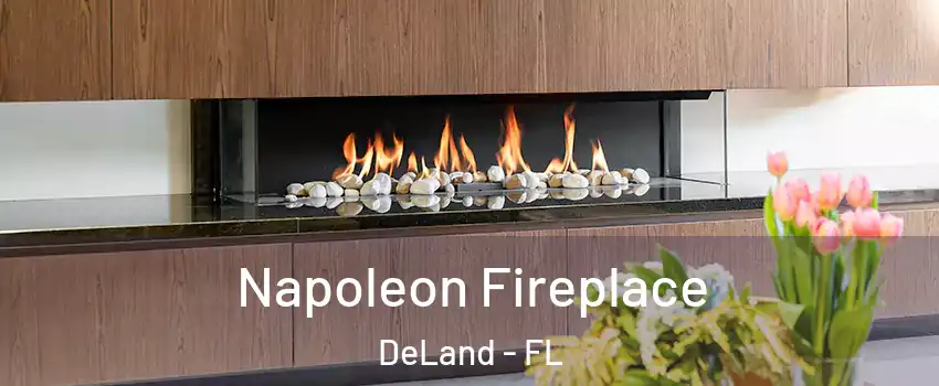  Napoleon Fireplace DeLand - FL